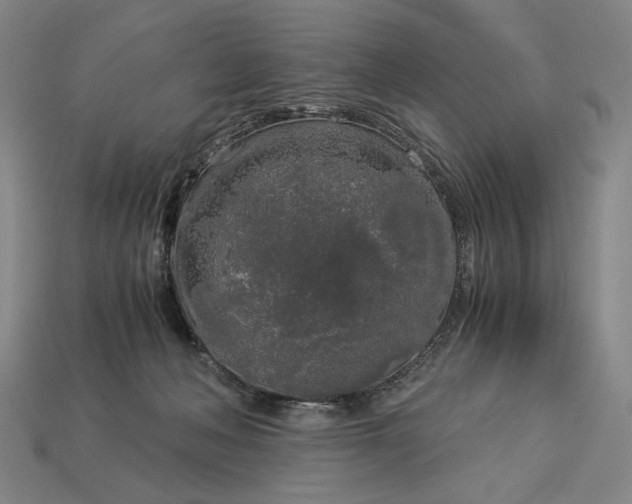 X0000112880222200909111450