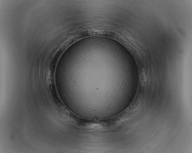 X0000112880224200909111450