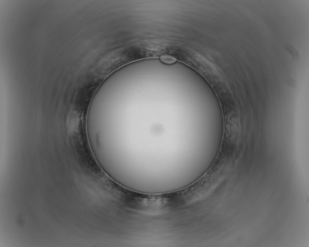 X0000112880225200909111450