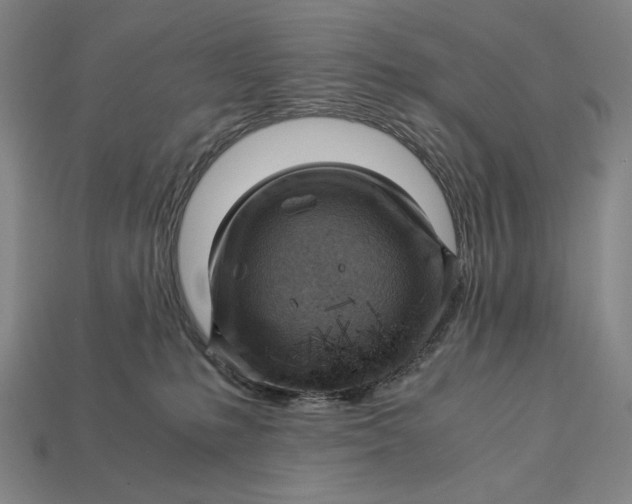 X0000112880231200909111450