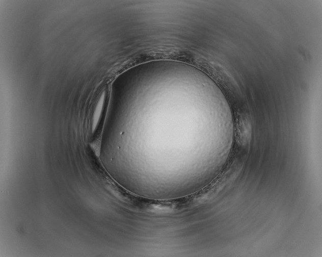 X0000112880232200909111450