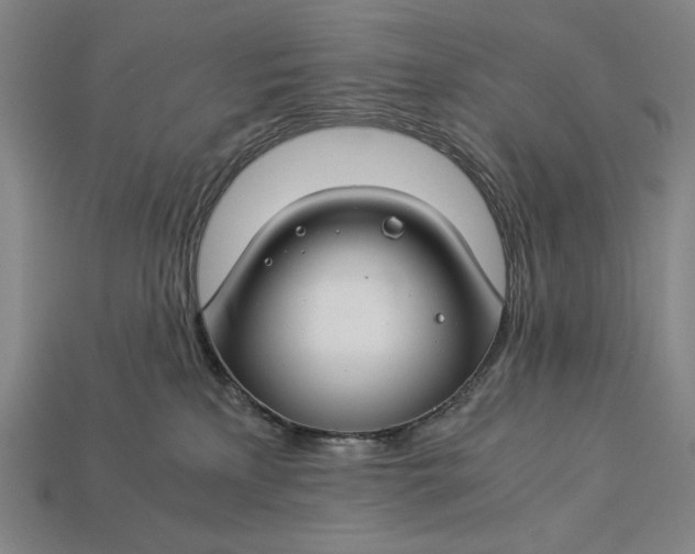 X0000112880233200909111450