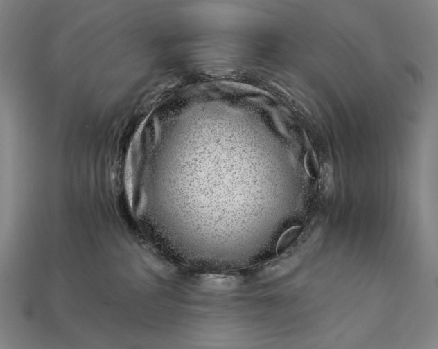 X0000112880234200909111450