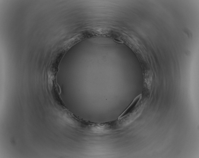 X0000112880235200909111450