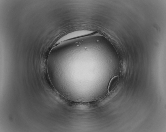 X0000112880236200909111450