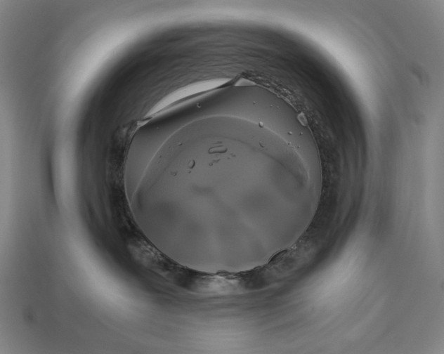 X0000112880239200909111450