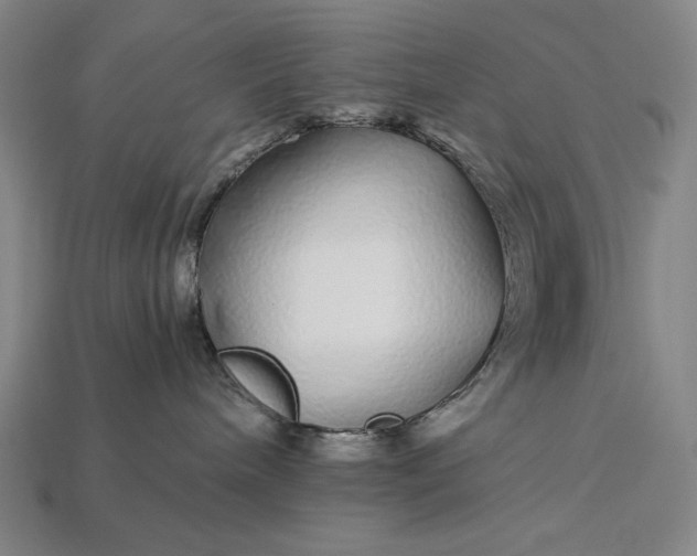 X0000112880240200909111450