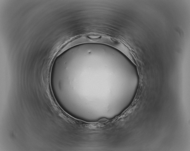 X0000112880241200909111449