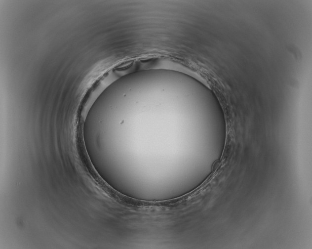 X0000112880242200909111449