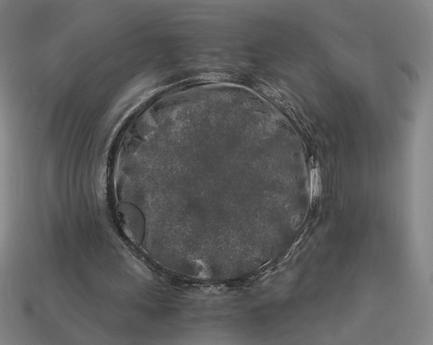 X0000112880243200909111449