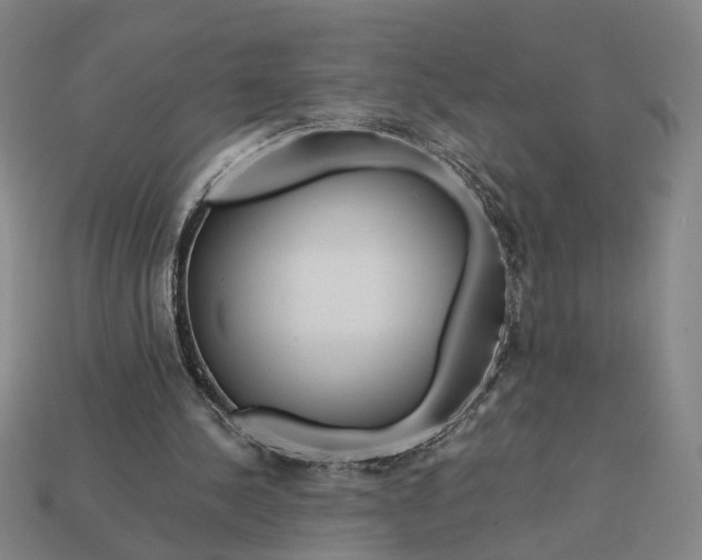 X0000112880244200909111449