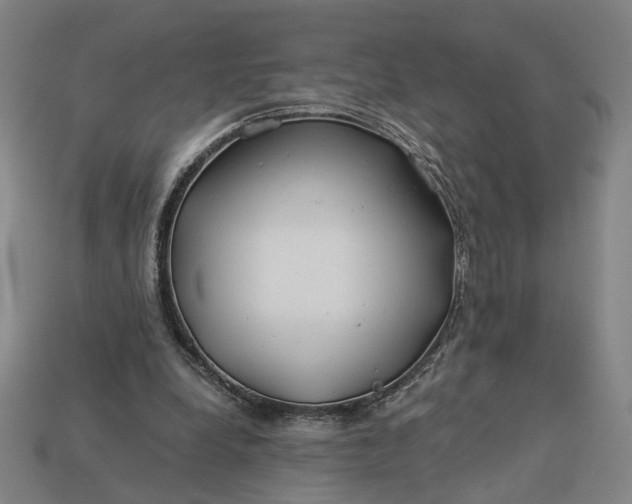 X0000112880248200909111449