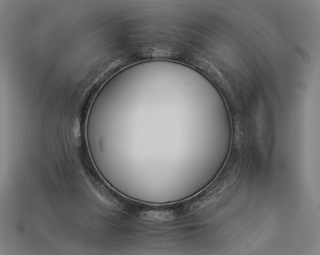 X0000112880251200909111449