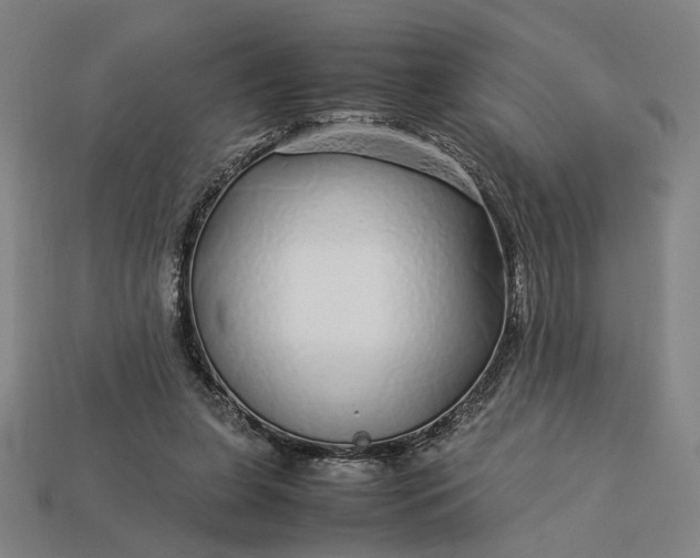 X0000112880255200909111449