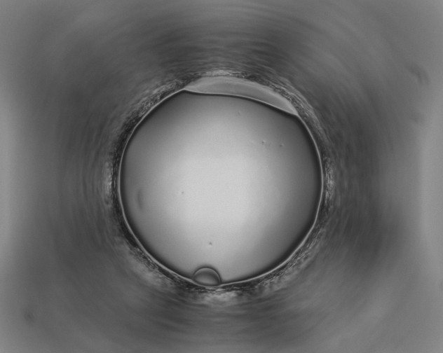 X0000112880257200909111449