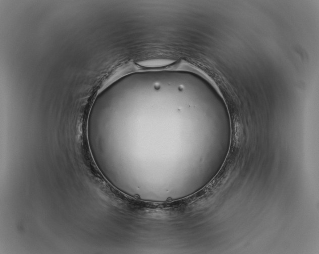 X0000112880259200909111449