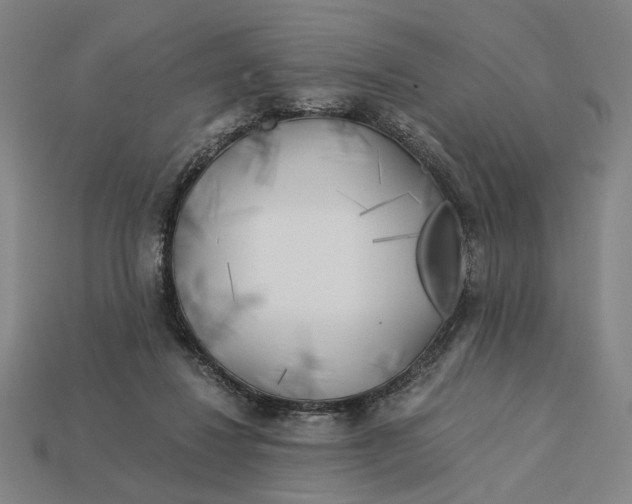 X0000112880260200909111449