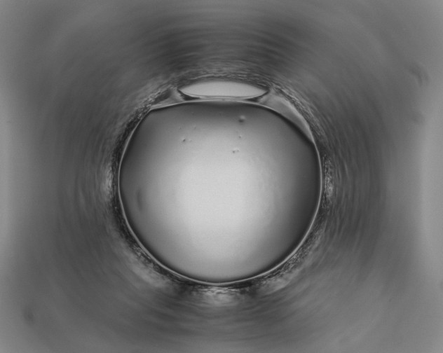 X0000112880261200909111449