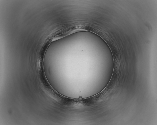 X0000112880262200909111449