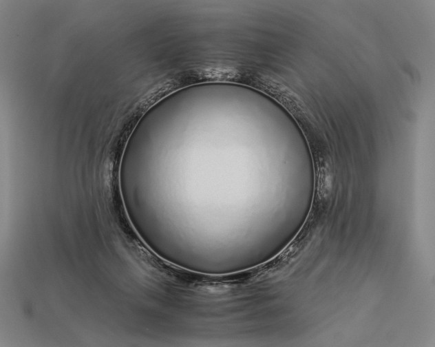 X0000112880263200909111449