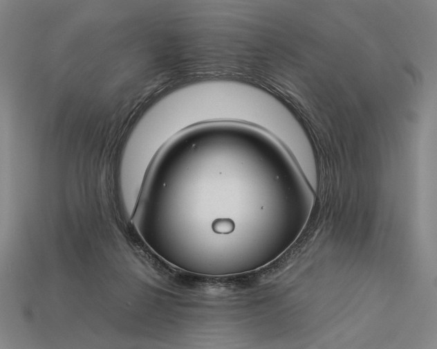 X0000112880264200909111449