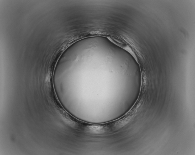 X0000112880265200909111449