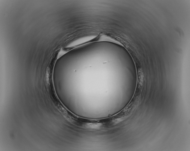 X0000112880266200909111449