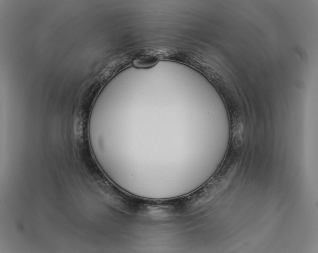 X0000112880268200909111449