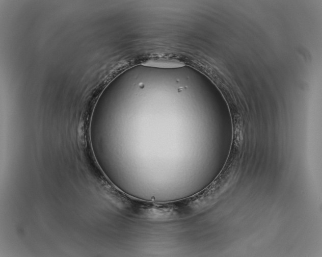 X0000112880270200909111449