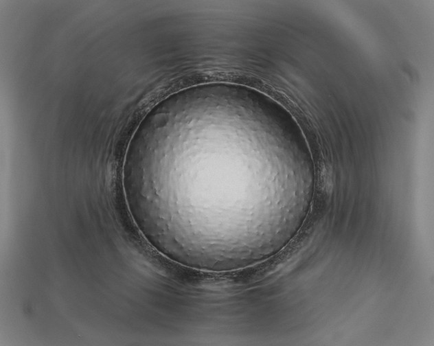 X0000112880271200909111449