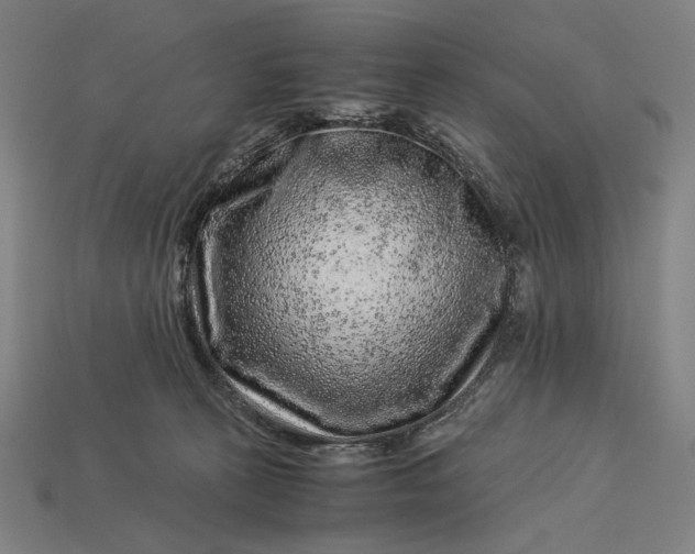 X0000112880273200909111449