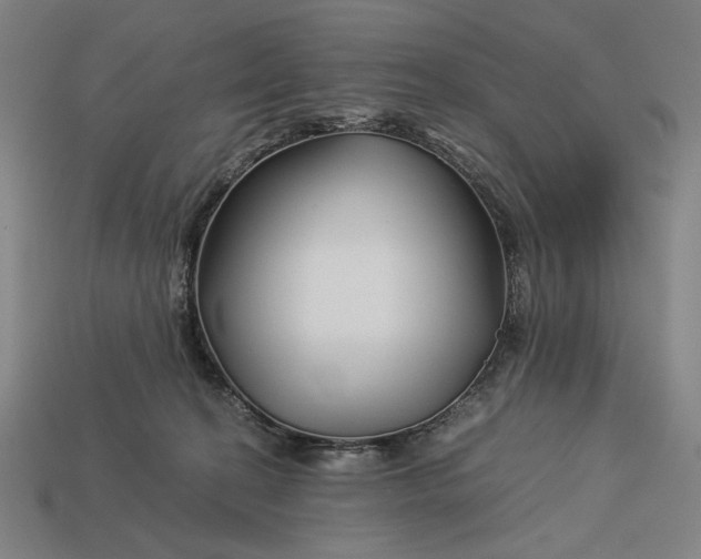 X0000112880274200909111450