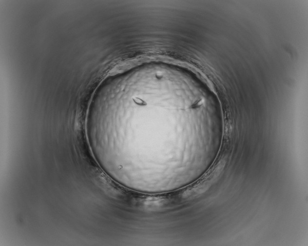 X0000112880277200909111450