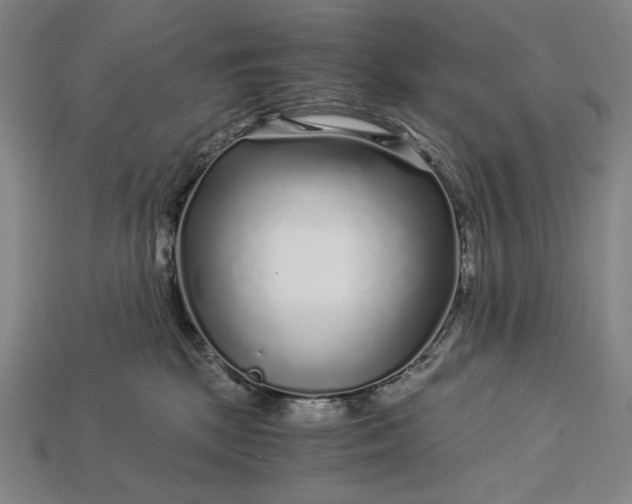 X0000112880281200909111450