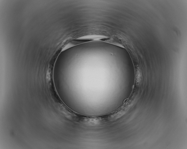 X0000112880282200909111450