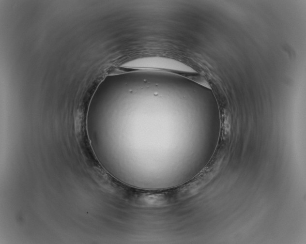 X0000112880283200909111450