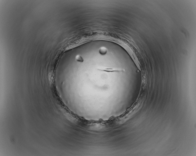 X0000112880285200909111450