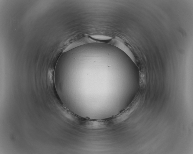 X0000112880286200909111450