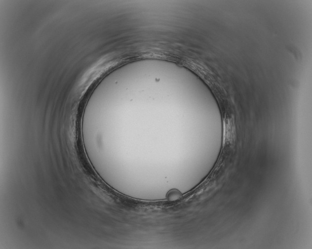 X0000112880291200909111449