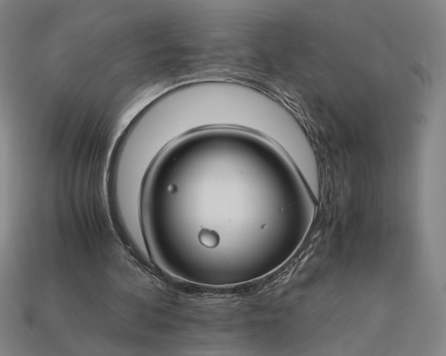 X0000112880292200909111449