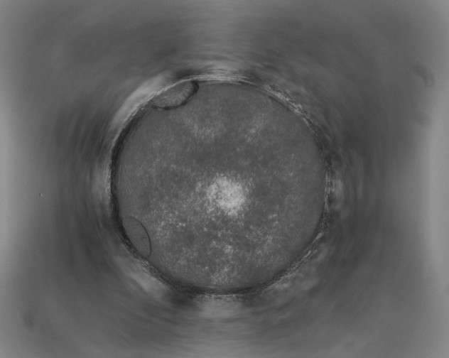 X0000112880296200909111449