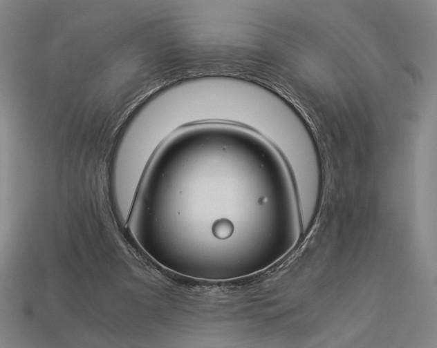 X0000112880297200909111449