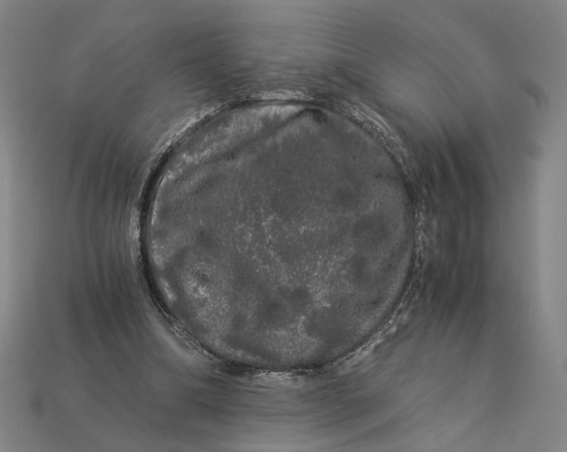 X0000112880298200909111449