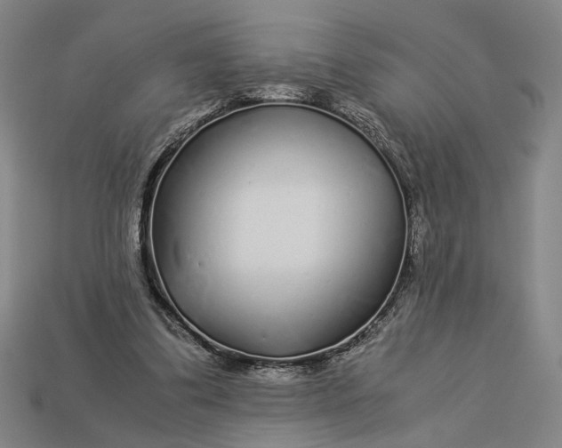 X0000112880299200909111449