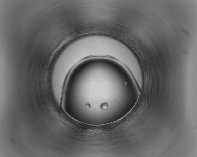 X0000112880300200909111449