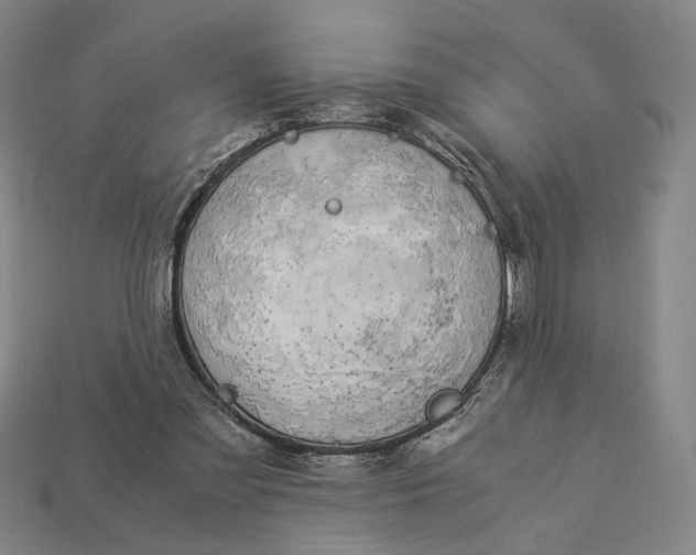 X0000112880301200909111449