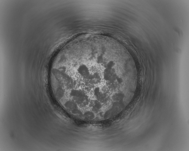 X0000112880303200909111449