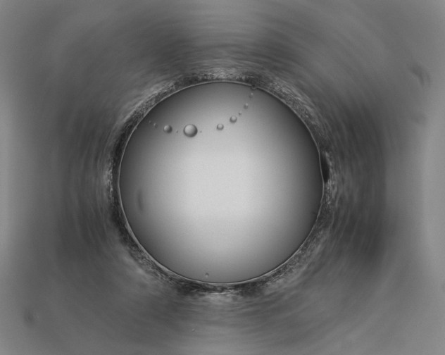 X0000112880306200909111449