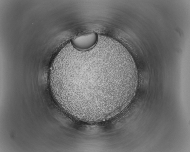 X0000112880309200909111449