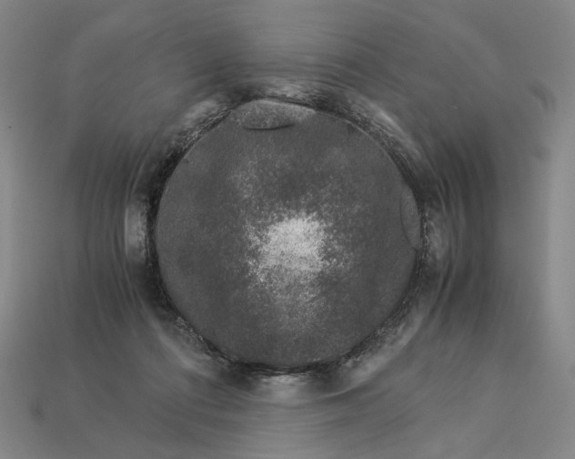 X0000112880312200909111449